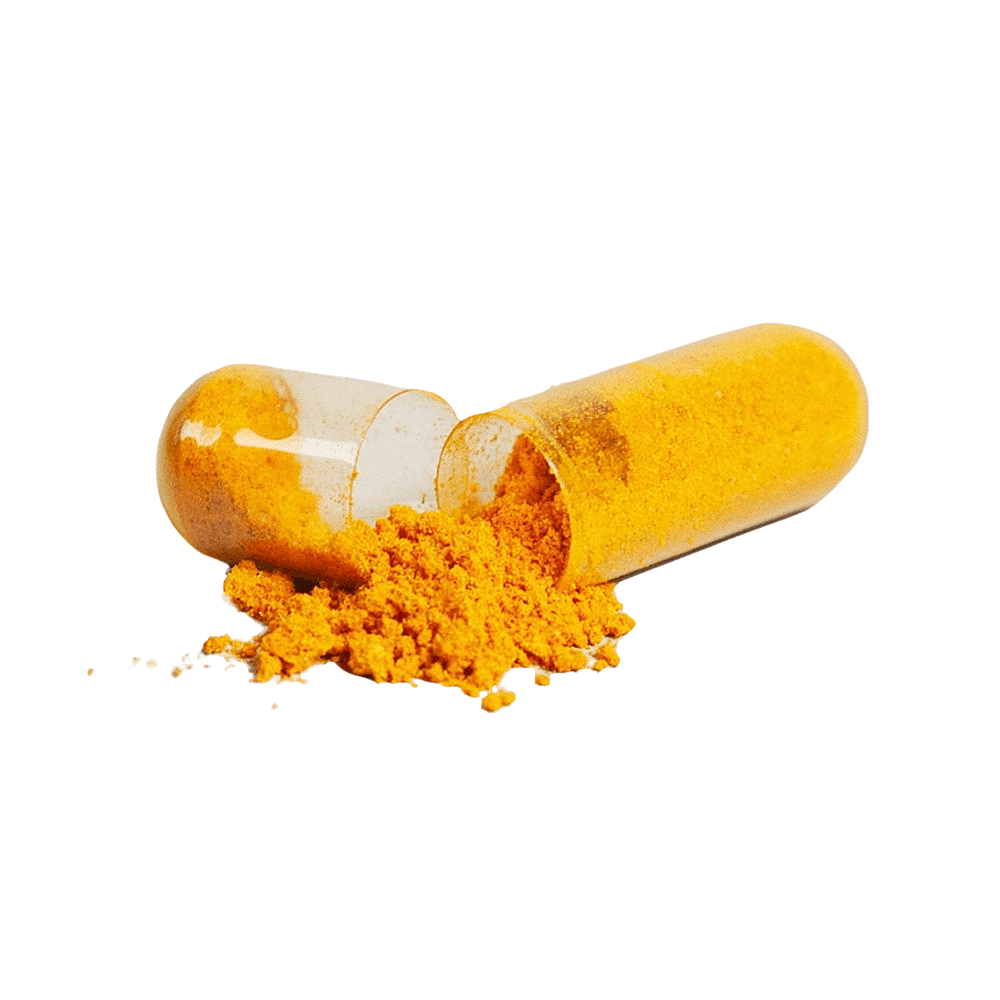 Bad To The Bone (Platinum Turmeric)